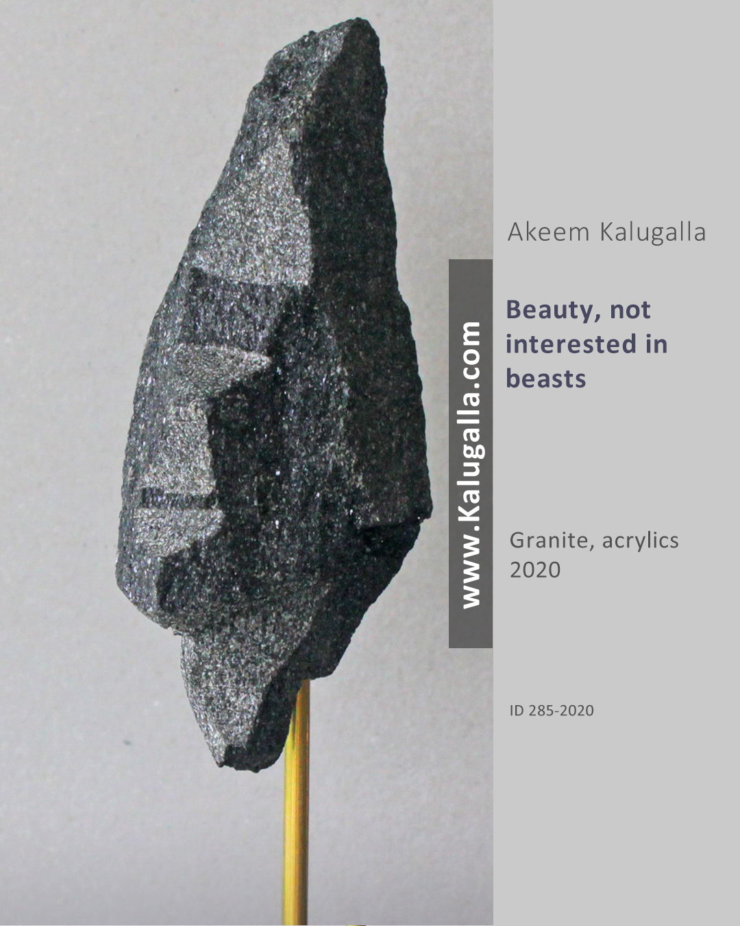 Akeem Kalugalla Contemporary Artist Sri Lanka